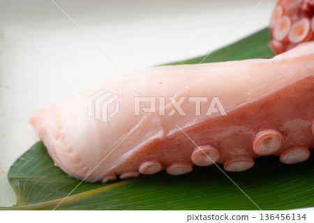 蒸章魚腿的特寫 蒸章魚腿的特寫 136456134