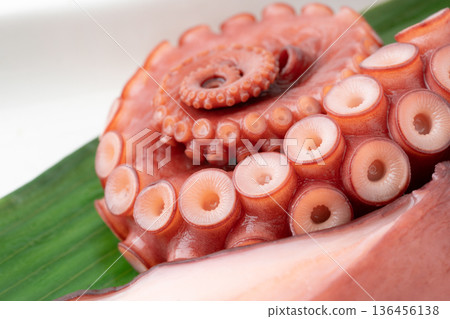 蒸章魚腿的特寫 蒸章魚腿的特寫 136456138