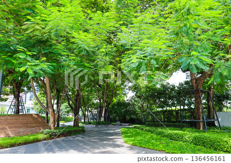 Green building entrance Green building entrance 136456161