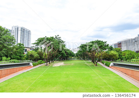 綠色城市公園景觀 136456174