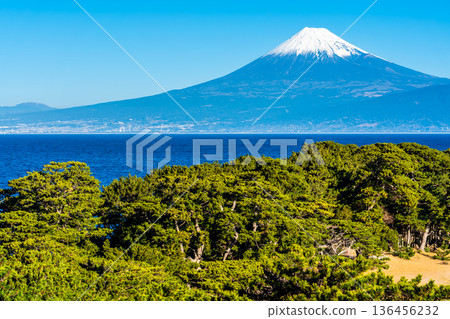 美濱岬和富士山 [靜岡縣沼津市] 136456232