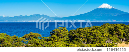 美濱岬和富士山全景【靜岡縣沼津市】 美濱岬和富士山全景【靜岡縣沼津市】 136456233