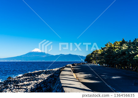 從長椅上眺望海風中的富士山 [靜岡縣沼津市] 136456635