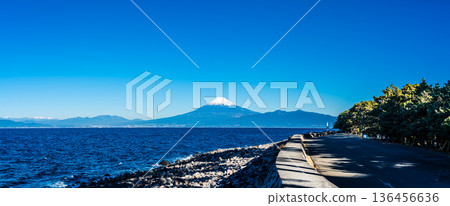 Panoramic view of Mt. Fuji from a bench enjoying the sea breeze [Numazu City, Shizuoka Prefecture] 136456636
