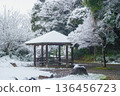 Winter Scenery in Japan | Ariyoshi Park (Oyumi Road), Chiba City, Chiba Prefecture 136456723
