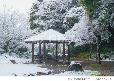 Winter Scenery in Japan | Ariyoshi Park (Oyumi Road), Chiba City, Chiba Prefecture Winter Scenery in Japan | Ariyoshi Park (Oyumi Road), Chiba City, Chiba Prefecture 136456723