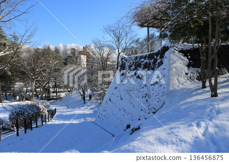 Snow scene at Morioka Castle Ruins Park 136456875
