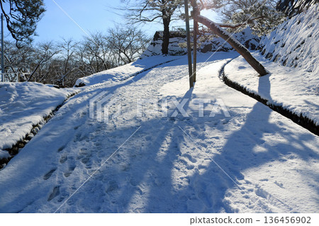 Snow scene at Morioka Castle Ruins Park Snow scene at Morioka Castle Ruins Park 136456902