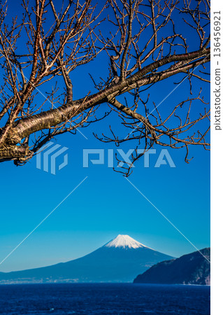 從富士見停車場眺望富士山 [靜岡縣沼津市] 136456921
