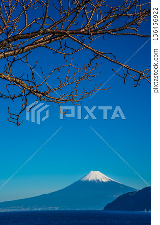 從富士見停車場眺望富士山 [靜岡縣沼津市] 136456922