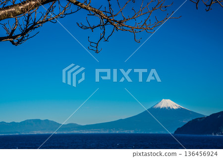從富士見停車場眺望富士山 [靜岡縣沼津市] 136456924
