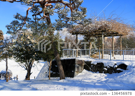 Snow scene at Morioka Castle Ruins Park 136456978