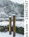[Chiba City, Chiba Prefecture] Snow falling at Ohyakuike Park 136457047