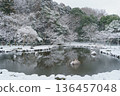 [Chiba City, Chiba Prefecture] Snow falling at Ohyakuike Park 136457048