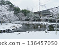 [Chiba City, Chiba Prefecture] Snow falling at Ohyakuike Park 136457050