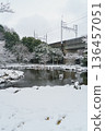 [Chiba City, Chiba Prefecture] Snow falling at Ohyakuike Park 136457051