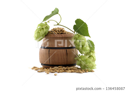 Fresh hops and grain in a wooden barrel, perfect for brewing beer. Fresh hops and grain in a wooden barrel, perfect for brewing beer. 136458087
