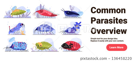 Parasite types medical infection disease pathogen overview colorful cartoon microbe organisms various shapes isolated on white background website banner 136458220
