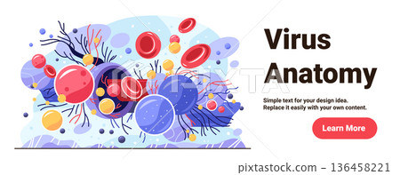 Virus anatomy medical concept microscopic pathogens abstract colorful cells blood platelets immune system background science banner 136458221