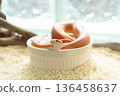Cute orange Albino Corn Snake soaking in a white water bowl inside a terrarium 136458637