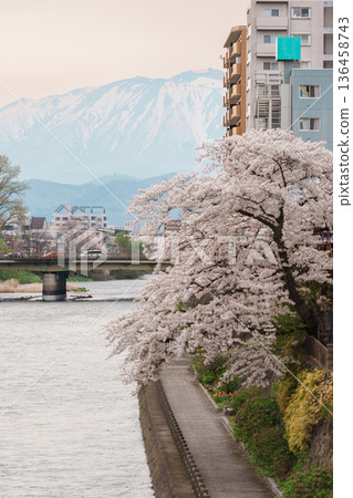 Beautiful Iwate mountain and Kitakami river with flowers blooming in Spring season, cityscape against blue sky in Morioka city, Iwate prefecture, Japan. famous Landmark Travel and Vacation destination Beautiful Iwate mountain and Kitakami river with flowers blooming in Spring season, cityscape against blue sky in Morioka city, Iwate prefecture, Japan. famous Landmark Travel and Vacation destination 136458743