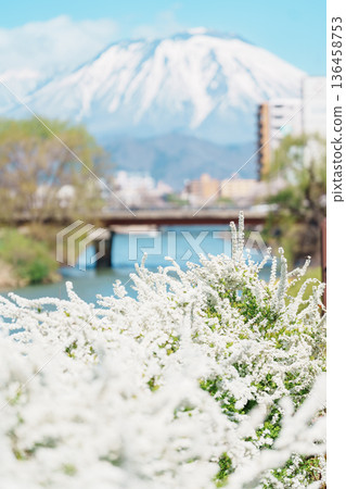 Beautiful Iwate mountain and Kitakami river with flowers blooming in Spring season, cityscape against blue sky in Morioka city, Iwate prefecture, Japan. famous Landmark Travel and Vacation destination Beautiful Iwate mountain and Kitakami river with flowers blooming in Spring season, cityscape against blue sky in Morioka city, Iwate prefecture, Japan. famous Landmark Travel and Vacation destination 136458753