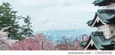 Beautiful Hirosaki Castle park with Sakura Cherry Blossom and Iwaki mount in Spring, traveling in Hirosaki city, Aomori, Tohoku, Japan. Landmark famous in Japan. Travel and Vacation destination 136458766