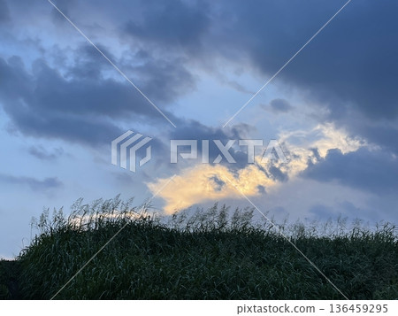The sky before dusk: mysterious, mystical, peaceful, nostalgic, spiritual The sky before dusk: mysterious, mystical, peaceful, nostalgic, spiritual 136459295