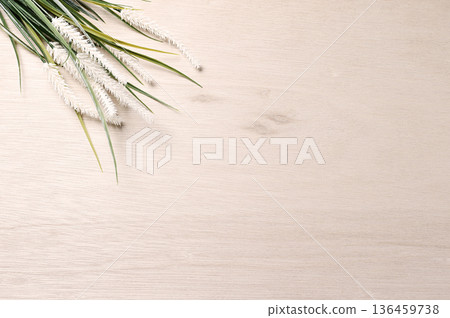背景中的植物 03 背景中的植物 03 136459738