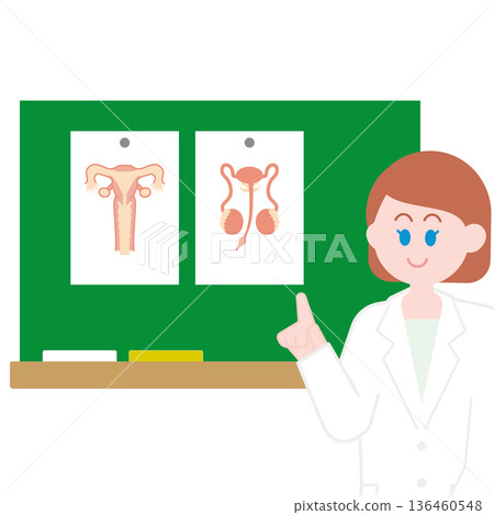 Sexuality education 136460548