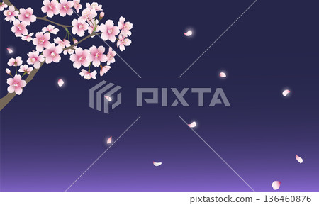 Falling cherry blossoms (navy background) 136460876