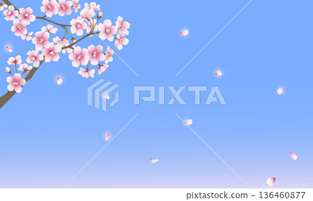 飄落的櫻花(藍色背景) 飄落的櫻花(藍色背景) 136460877