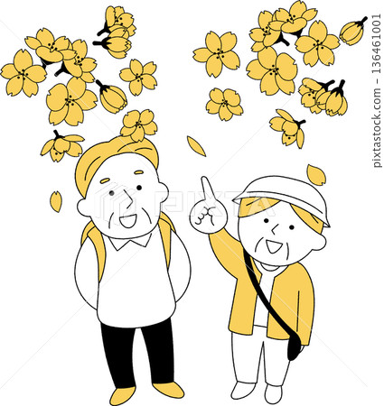 Elderly people walking among cherry blossoms 136461001