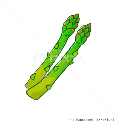 Smiling green vegetables | Asparagus (green line drawing) Smiling green vegetables | Asparagus (green line drawing) 136461021