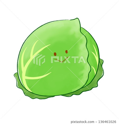 微笑的綠色蔬菜 | 高麗菜（綠色線條畫） 136461026
