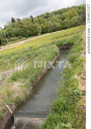 Image of agricultural aqueduct 136461327