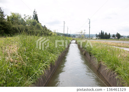 Rice field landscape - Image of an irrigation channel Rice field landscape - Image of an irrigation channel 136461329