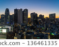 Night view of the buildings in Shinjuku, Tokyo 136461335