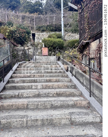 尾道,山坡與貓之城 尾道,山坡與貓之城 136461672