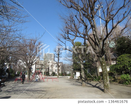 松山松田公園附近 松山松田公園附近 136461676