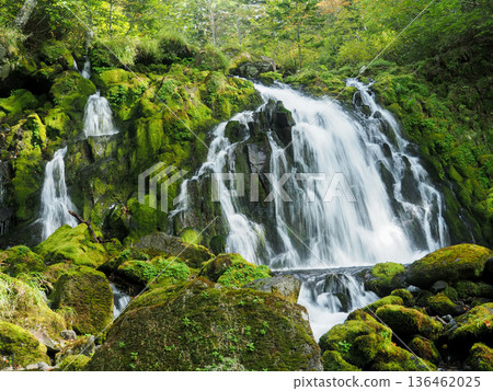 A clear stream flowing through moss-covered rocks A clear stream flowing through moss-covered rocks 136462025