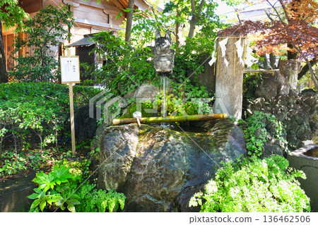 Matsudo Shrine: Dragon God and Holy Water (Matsudo City, Chiba Prefecture) Matsudo Shrine: Dragon God and Holy Water (Matsudo City, Chiba Prefecture) 136462506