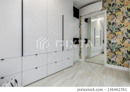 Modern Built-in Storage with Full Length Mirror Door Modern Built-in Storage with Full Length Mirror Door 136462761