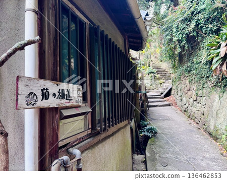 前往尾道的貓巷 136462853