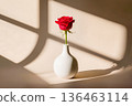 Single red rose in white ceramic vase with window shadows on wall. 136463114