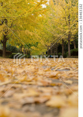 Yokosuka evening view 136463182