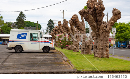Astoria, Oregon, USA - May 21, 2019: USPS mail truck. USPS mail delivery truck or lorry. Mail delivery postal truck parked outdoor, USPS lorry, side view Astoria, Oregon, USA - May 21, 2019: USPS mail truck. USPS mail delivery truck or lorry. Mail delivery postal truck parked outdoor, USPS lorry, side view 136463350
