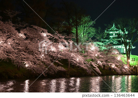 Cherry blossoms at night at Takada Castle Ruins Park (1) 136463644