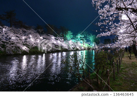 Cherry blossoms at night at Takada Castle Ruins Park (2) Cherry blossoms at night at Takada Castle Ruins Park (2) 136463645