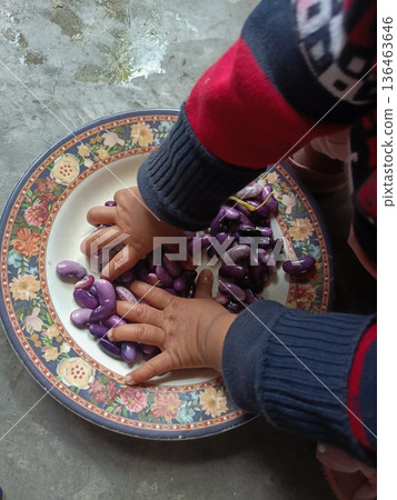 Toddler playing with colorful purple Scarlet Runner beans on a floral plate for sensory development Toddler playing with colorful purple Scarlet Runner beans on a floral plate for sensory development 136463646